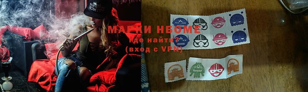 прущие грибы Армянск