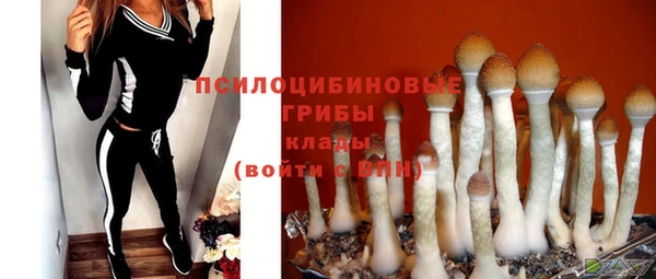 прущие грибы Армянск