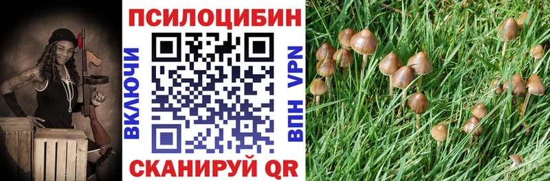 Галлюциногенные грибы Magic Shrooms  Усть-Кут 